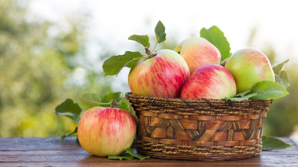 prebiotic rich Apples