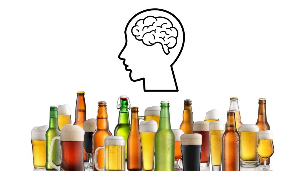 Effects of Alcohol on human brain 