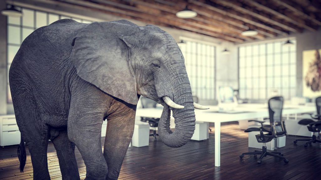 The Elephant In The Room idiom